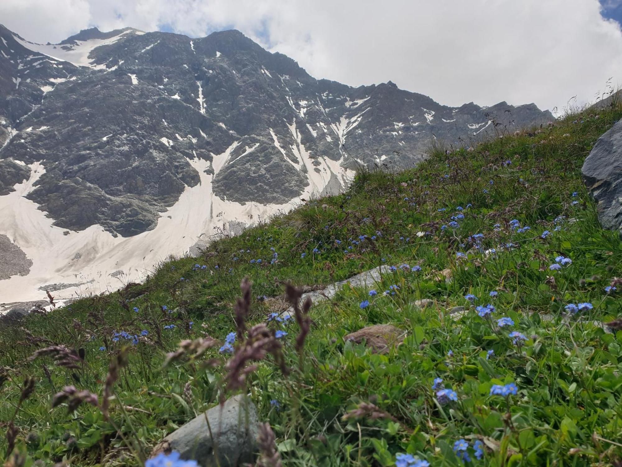 Gaestehaus Zedlacherhof Matrei in Osttirol Exteriör bild
