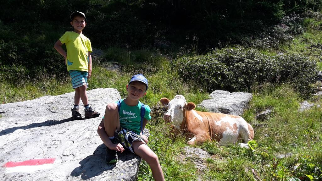 Gaestehaus Zedlacherhof Matrei in Osttirol Exteriör bild